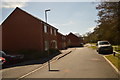 New houses on Reed Way