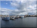 Hartlepool marina