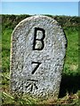 Old Milestone by the B3266, south east of St Tudy