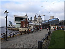 SJ3389 : Gates, Canning Half-Tide Dock, Liverpool by Rudi Winter