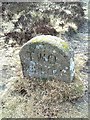SX7079 : Old Boundary Marker by D Garside