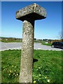 Old Guide Stone by the B3266, north east of Tregooden