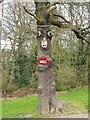 Painted tree on Beauchief golf course