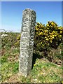 SX0987 : Old Guide Stone south east of Trewinnick by Rosy Hanns