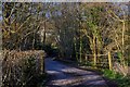 Clayhidon : Country Lane