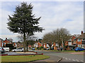 Sandhurst Drive in Penn, Wolverhampton