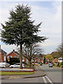 Sandhurst Drive in Penn, Wolverhampton