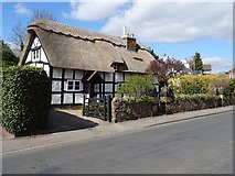 SO7845 : Thatched timber-framed cottage by Philip Halling