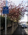 ST3189 : Cyclists dismount sign alongside Albany Street, Crindau, Newport by Jaggery