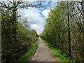 Cycle track, screened on each side