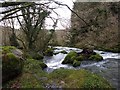 The Afon Goedol looking downstream