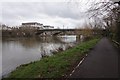 Thames path towards Staines Bridge