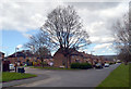 Harrogate Road and Cherry Tree Avenue, Greengates