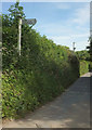 Signpost, Wistford Cross / Goodwells Head Cross