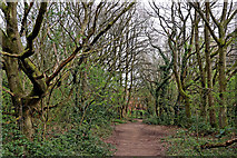 SO9095 : Footpath to Goldthorn Park on Colton Hills near Wolverhampton by Roger  Kidd