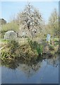 Stonebridge  Allotments, Faversham