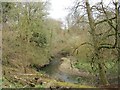 The Calder near Stable Wood