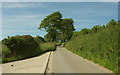 Lane at Stoodleigh Barton