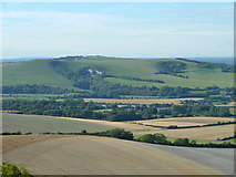 TQ4408 : Detached downland between Lewes and Glynde by Robin Webster