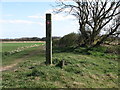 NZ3275 : Directional Marker Post near Holywell Dene by Geoff Holland