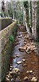 Limb Brook above Limb Bridge