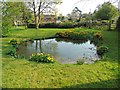 Pond on Bubbenhall Village Green