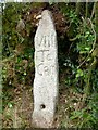 Old Milestone east of Cold Northcott