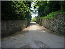 SU8695 : Between Walls at Hughenden Manor by Sean Davis
