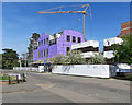 Grange Road: building at Selwyn College