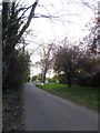 Looking westwards in Wispers Lane