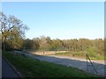 Disused tennis court in Wispers Lane