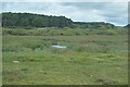 SW5131 : Marshy pond by N Chadwick