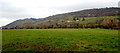 Hillside view from Llanwenarth Citra, Monmouthshire