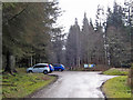 Blackmuir Wood car park