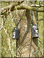 Bat boxes in woodland surrounding Westheath Quarry