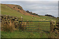 A View towards Eastby Crag