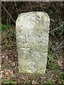 Old Milestone by the A38, west of Tideford