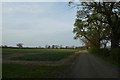 Footpath over West Moor