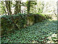 Boundary Wall for Tong Castle