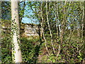 Foundation or walling stones at (the former) Tong Castle