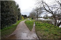 TQ0469 : Thames path towards Laleham by Ian S