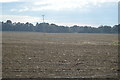 Flat farmland