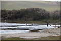 TV5198 : A Heron and a Little Egret on the River Cuckmere by Andrew Diack