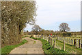 SO9095 : Farm road near Colton Hills in Staffordshire by Roger  Kidd