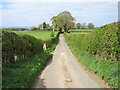 Straight road to Manor Farm