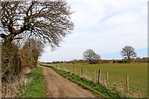 SO9095 : Staffordshire pasture north-west of Sedgley by Roger  Kidd
