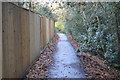 Footpath to Culverden Down