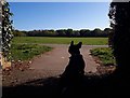 SZ0794 : Ensbury Park: a dog’s eye view of arrival at Slades Farm by Chris Downer