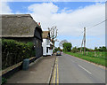 Grantchester: Broadway and a pollarded tree