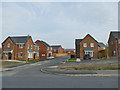 Houses on Throstle Terrace, Middleton